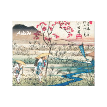Arte marcial japonés del Aikido Impresiones En Lienzo Estiradas