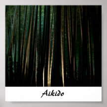 Arte marcial japonés del Aikido Impresiones