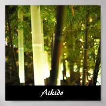 Arte marcial japonés del Aikido Poster