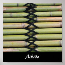 Arte marcial japonés del Aikido Posters