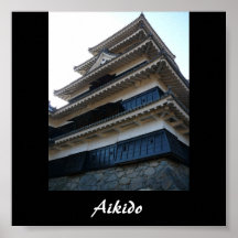 Arte marcial japonés del Aikido Posters