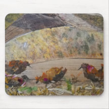 Arte-Mousepad Gallina-Orgánico hambriento