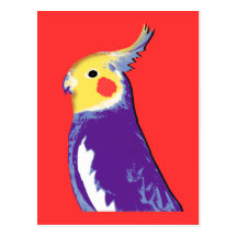 Arte pop del Cockatiel Tarjeta Postal