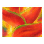 Arte rojo de la flor de Heliconia - multi Tarjetas Postales
