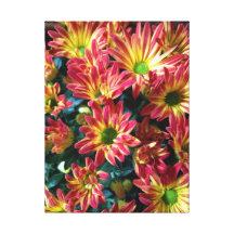 Arte rojo de las momias de la primavera amarillas  impresiones en lienzo estiradas