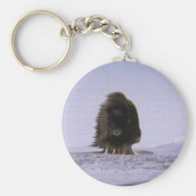 Arte sagrado ártico de la fauna de los bóvidos de  llaveros personalizados