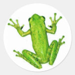 Arte tropical del pegatina de la rana arbórea de l