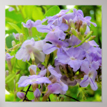 Arte tropical - flores impresiones