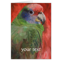 Arte verde y rojo del animal del retrato del loro felicitaciones