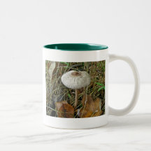 Artículos de coordinación blancos de la seta de pa tazas