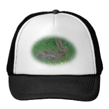 Artículos de coordinación del conejo de conejito d gorra