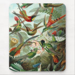 Artista Ernst Haeckel del vintage Alfombrilla De Ratones