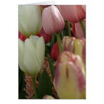 Ascendente cercano del tulipán felicitación