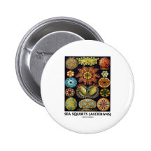 Ascidias (Ascidians - Artforms de la naturaleza) Pin