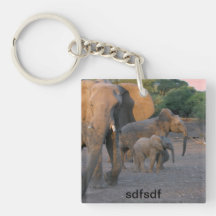 asdf