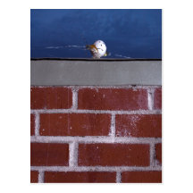 "Asesinato postal de Humpty de Dumpty" por el CH