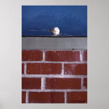 "Asesinato poster de Humpty de Dumpty" de Cyril H
