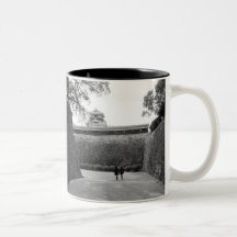 Asia, Japón, Kumamoto. Calzada y fosa principales, Taza De Café