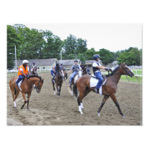 Asilo del caballo impresión fotográfica