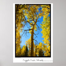 Aspen enmarcó, cala del lisiado, poster de Colorad