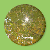 Aspen soleado imanes