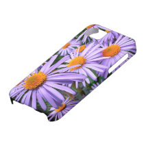 Aster de Nueva York iPhone 5 Cárcasa