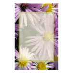 Aster Papelería De Diseño