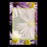 Aster papeleria
