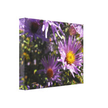 Aster púrpura vivo con Pring floral amarillo Lona Estirada Galerías