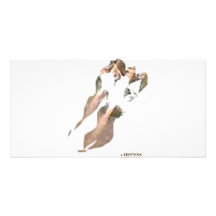 ASTEROIDES DE LOS PIES DEL DRAGÓN DE LAS MARIPOSAS TARJETAS CON FOTOS PERSONALIZADAS