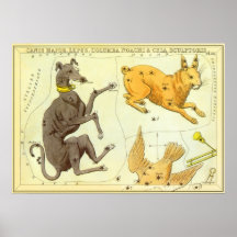 Astronomía del vintage, carta de estrella celestia posters