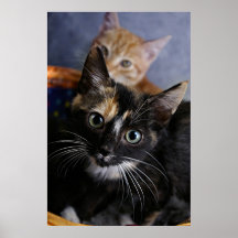 Asustado Posters