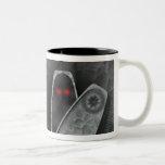Ataúd - taza de Halloween