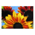ATC de los girasoles Plantilla De Tarjeta De Visita