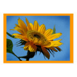 ATC del girasol Plantilla De Tarjeta Personal