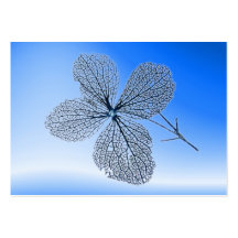 ATC esquelético del ~ de la flor Tarjeta De Visita
