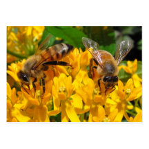 ATC gemelo del ~ de las abejas Tarjetas De Visita