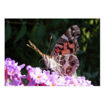 ATC orgulloso del ~ de la mariposa Tarjeta De Visita
