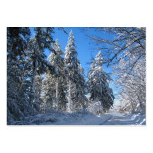 ATC pegajoso del ~ de la nieve 32 Tarjeta De Visita
