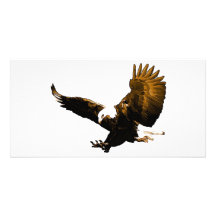 Aterrizaje de Eagle Tarjeta Fotográfica Personalizada