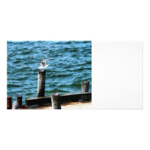 Aterrizaje de la gaviota tarjeta con foto personalizada