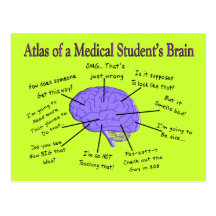 Atlas de un cerebro #2 del estudiante de medicina postal