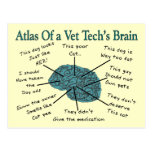 Atlas del cerebro de una tecnología del veterinari postal