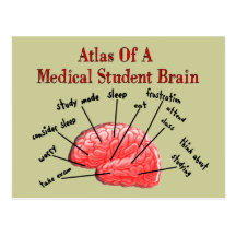 Atlas del cerebro del estudiante de medicina tarjetas postales