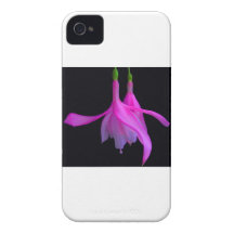 Atontamiento en diseño floral rosado iPhone 4 coberturas
