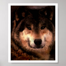 Audaz Posters