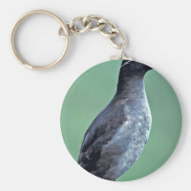 Auklet con cresta, isla de Kiska, Alaska Llavero Personalizado