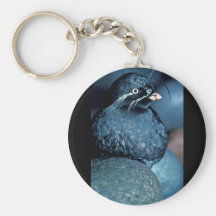 Auklet de Whiskered Llavero
