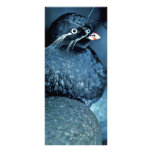 Auklet de Whiskered Tarjeta Publicitaria Personalizada