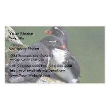 Auklets del Parakeet, isla de San Jorge, Pribilofs Tarjetas De Negocios